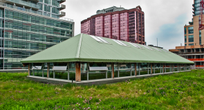 Green roofs in Toronto