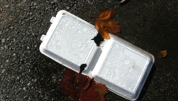 banning plastic foam containers